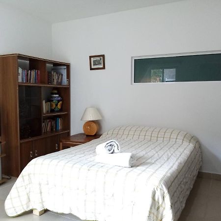 Milenio III B&B ケレタロ エクステリア 写真