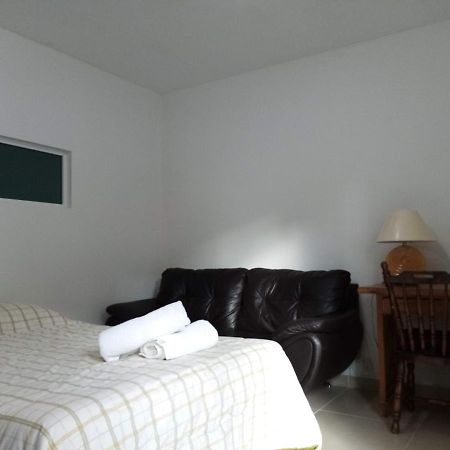 Milenio III B&B ケレタロ エクステリア 写真